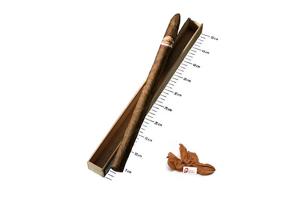 La Aurora Stravaganza XXL-Cigar